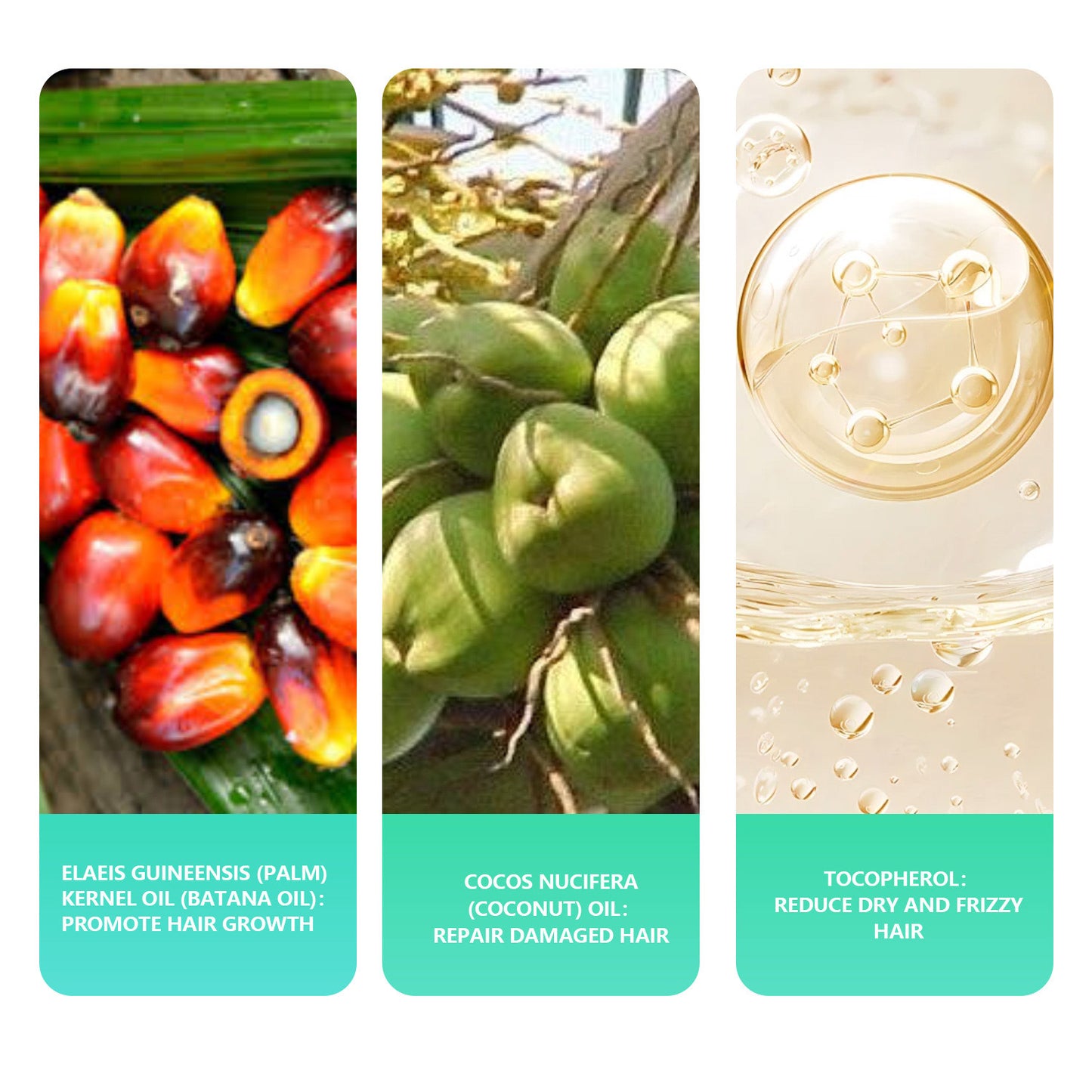 Batana Oil Shampoo Bar β Nourishing, Strengthening & Scalp Care